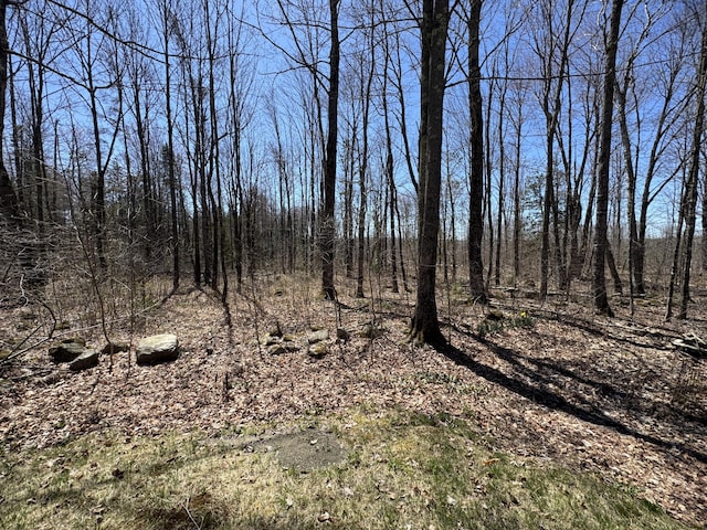 76 Norton Hill Rd, Dover-Foxcroft, ME 04426 - view of landscape