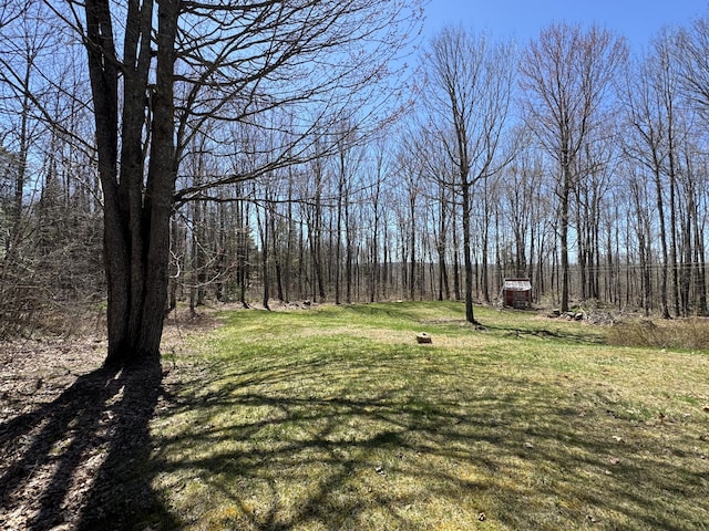 76 Norton Hill Rd, Dover-Foxcroft, ME 04426 - view of yard featuring a forest view