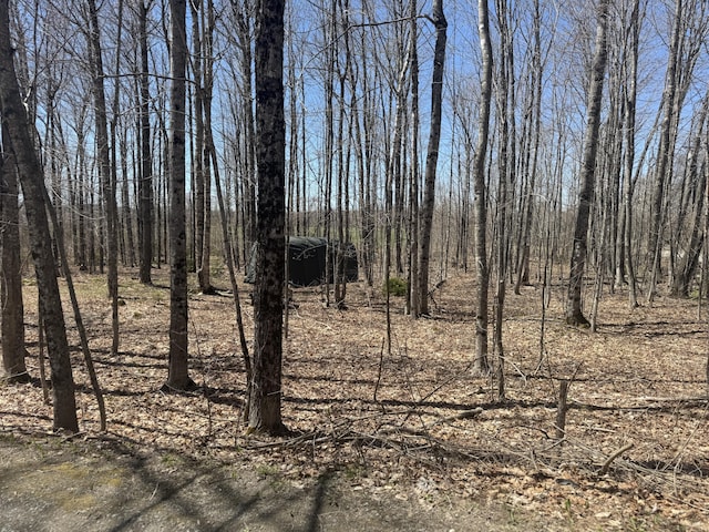 76 Norton Hill Rd, Dover-Foxcroft, ME 04426 - view of landscape