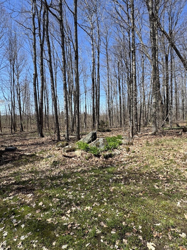 76 Norton Hill Rd, Dover-Foxcroft, ME 04426 - view of nature