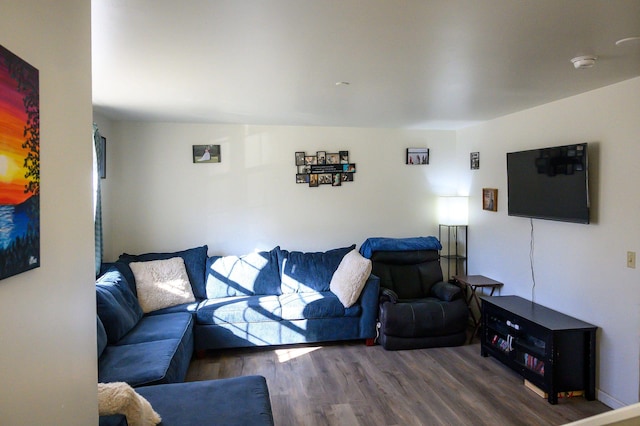 living area with wood finished floors