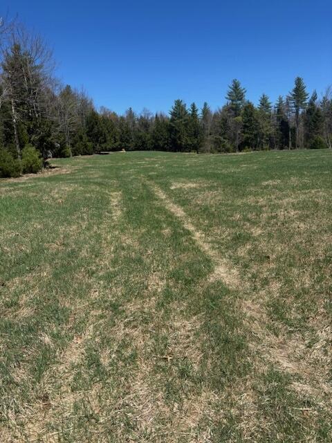 357 Leeds Rd, Wayne, ME 04284 - view of yard with a forest view