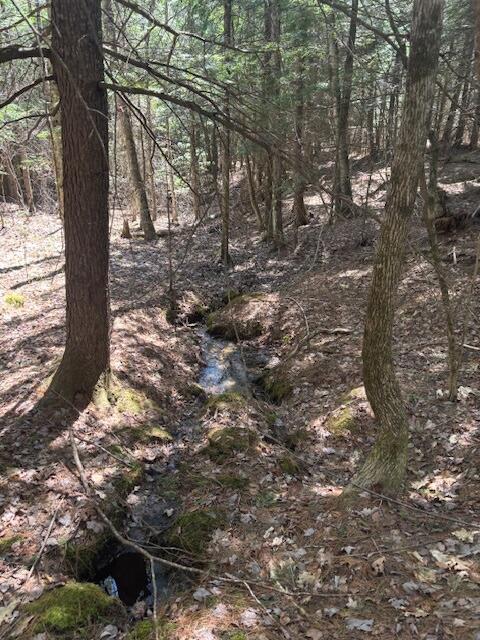 357 Leeds Rd, Wayne, ME 04284 - view of landscape
