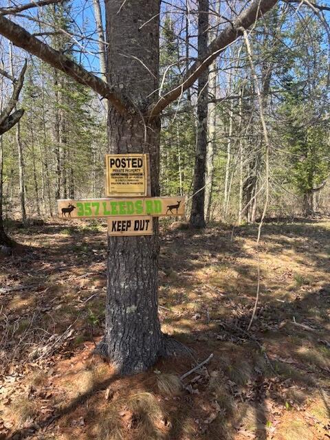 357 Leeds Rd, Wayne, ME 04284 - surrounding community featuring a forest view