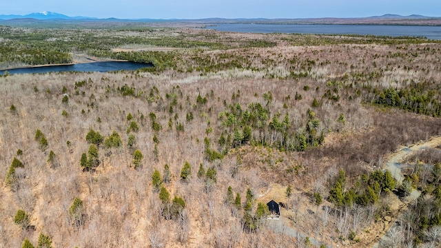 birds eye view of property with a water and mountain view
