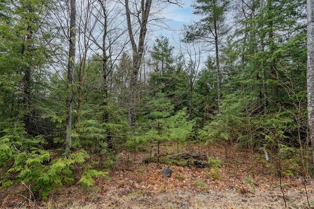 19-E1 N Mcallister Rd, Otisfield, ME 04270