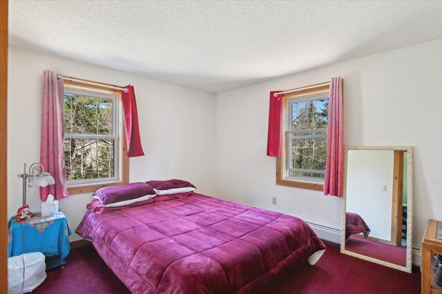 carpeted bedroom with a textured ceiling and multiple windows