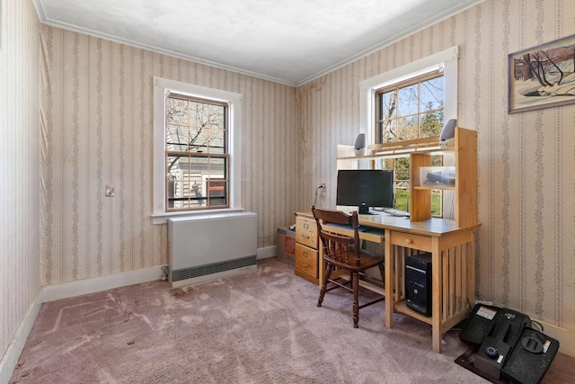 carpeted office featuring ornamental molding and radiator