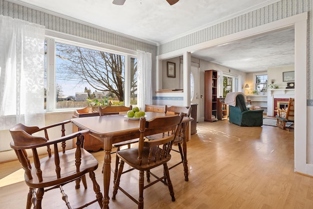 dining area featuring ceiling fan, a brick fireplace, light wood-type flooring, ornamental molding, and wallpapered walls