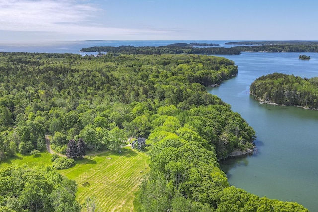 birds eye view of property with a water view and a forest view