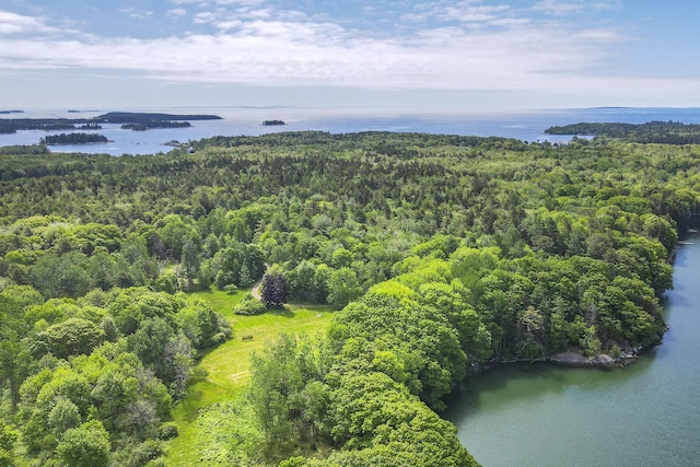 birds eye view of property with a water view and a forest view