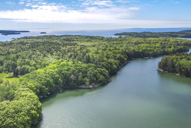 birds eye view of property featuring a water view and a forest view