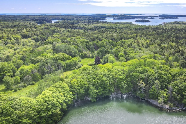 birds eye view of property with a wooded view and a water view