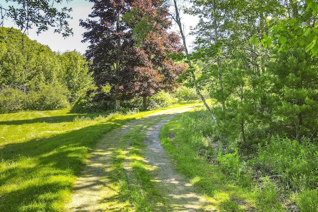 view of road