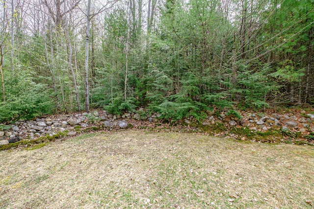 26 Mountain View Ln, Woodstock, ME 04219 - view of yard