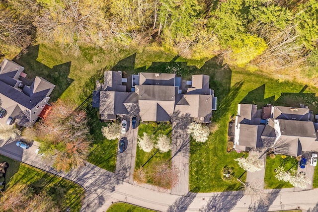 bird's eye view