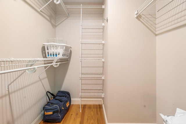 walk in closet featuring wood finished floors