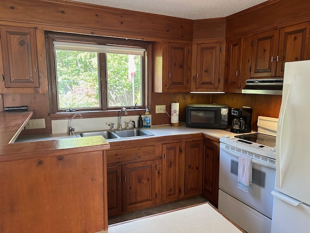 kitchen with white appliances, a sink, brown cabinets, under cabinet range hood, and ornamental molding