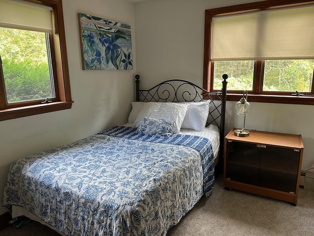 bedroom featuring carpet flooring