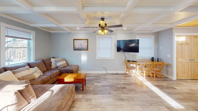living room featuring a ceiling fan, baseboards, light wood-type flooring, and coffered ceiling