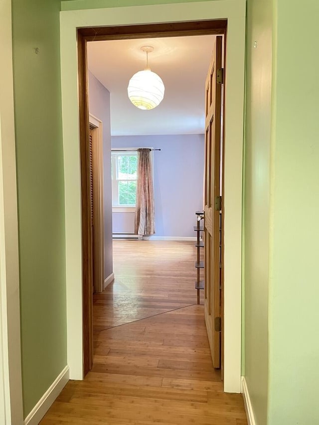 45 Seaview Ter, Belfast, ME 04915 - corridor featuring light wood finished floors
