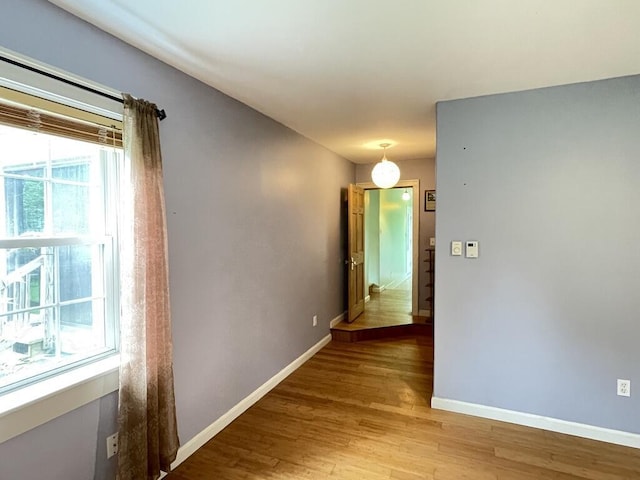 45 Seaview Ter, Belfast, ME 04915 - corridor with healthy amount of natural light and light wood-style floors