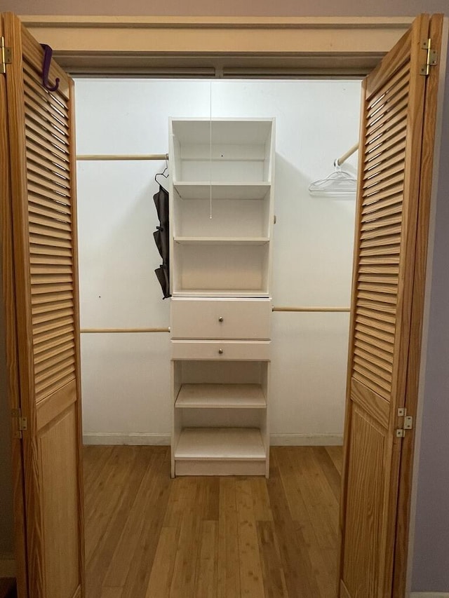 45 Seaview Ter, Belfast, ME 04915 - spacious closet with light wood-type flooring