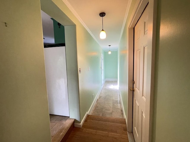 45 Seaview Ter, Belfast, ME 04915 - corridor featuring ornamental molding and wood finished floors
