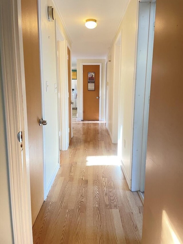 45 Seaview Ter, Belfast, ME 04915 - hall featuring light wood-style floors and baseboards