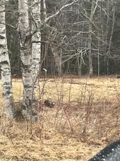 924 Great Pond Rd, Great Pond, ME 04408 - view of local wilderness