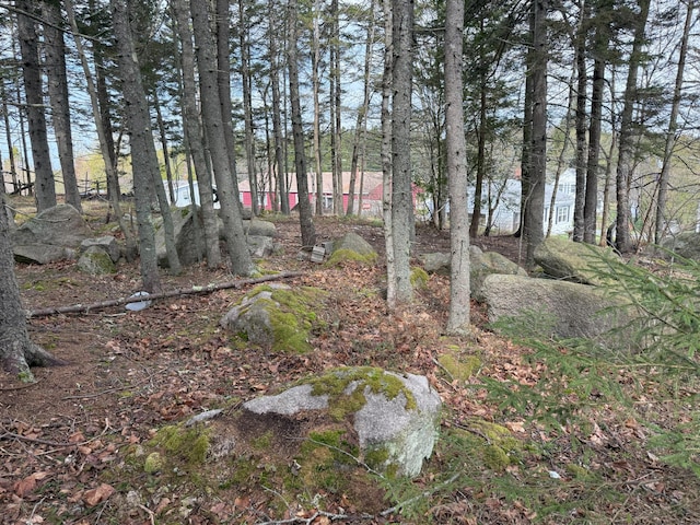 view of local wilderness