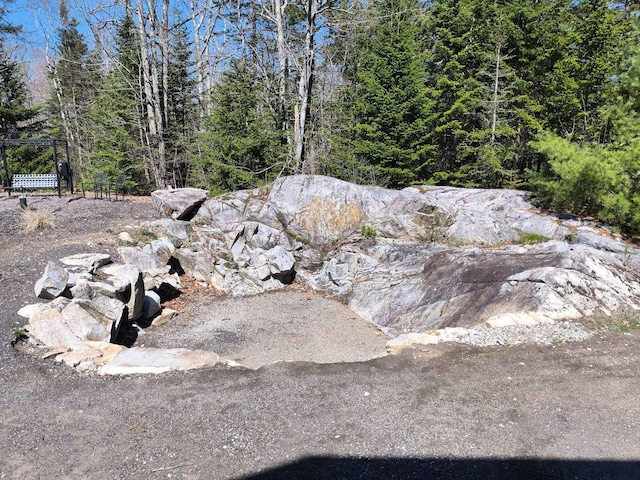 29 Punkin Hill Rd, South Thomaston, ME 04858 - view of local wilderness