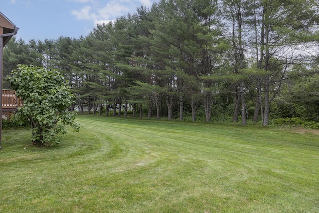 84 Old Carriage Rd Unit 84, Auburn, ME 04210 - view of green lawn
