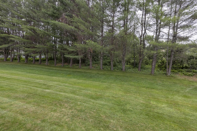 84 Old Carriage Rd Unit 84, Auburn, ME 04210 - view of grassy yard