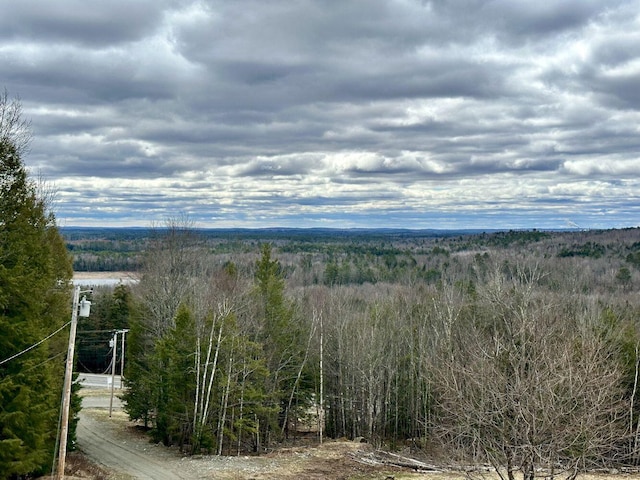 1040 Canaan Rd, Skowhegan, ME 04976 - photo 3