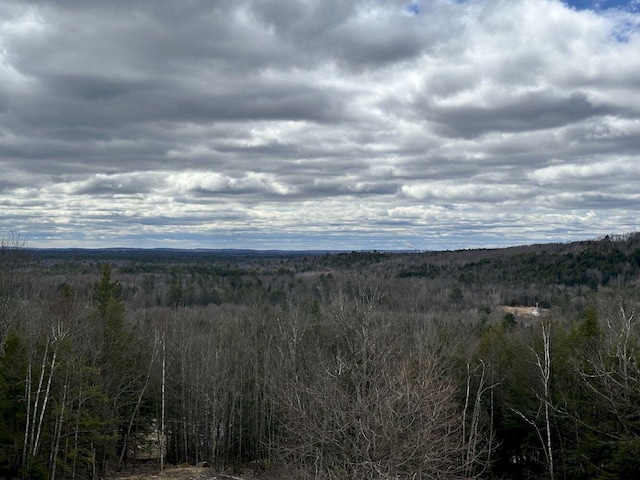 1040 Canaan Rd, Skowhegan, ME 04976 - photo 4