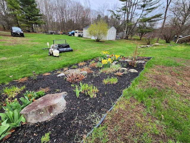 53 Village Rd, Stetson, ME 04488 - view of green lawn with a vegetable garden