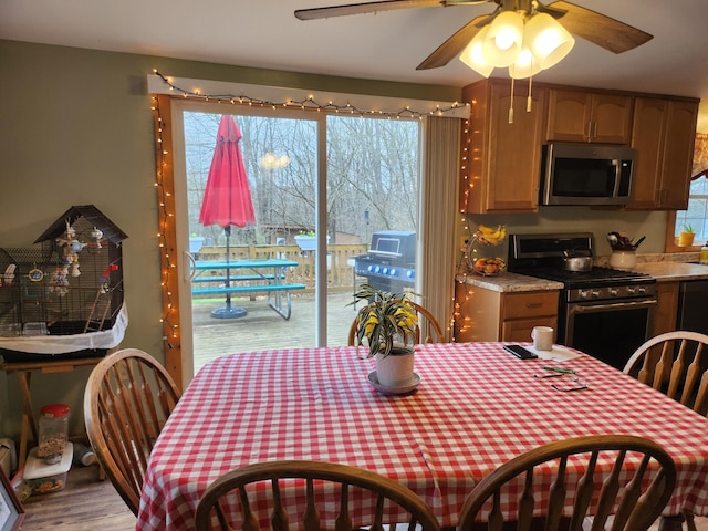 53 Village Rd, Stetson, ME 04488 - dining room with a ceiling fan and wood finished floors