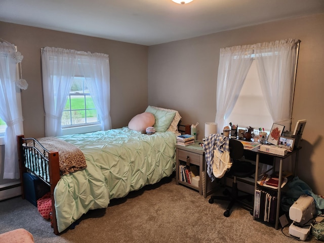 53 Village Rd, Stetson, ME 04488 - bedroom with carpet floors