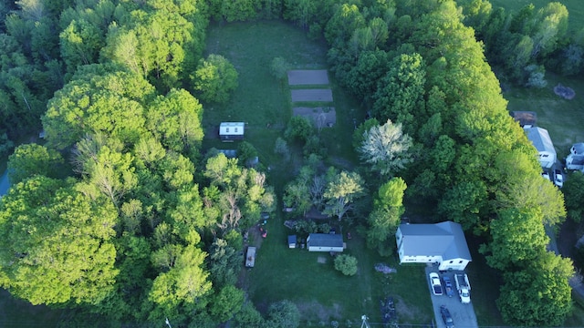53 Village Rd, Stetson, ME 04488 - view of property location with a forest
