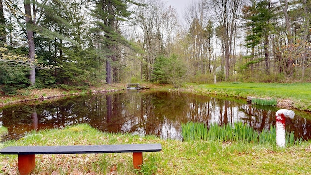 22 Cote Dr, Arundel, ME 04046 - photo 77