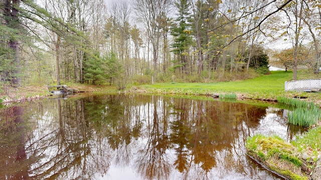 22 Cote Dr, Arundel, ME 04046 - photo 79