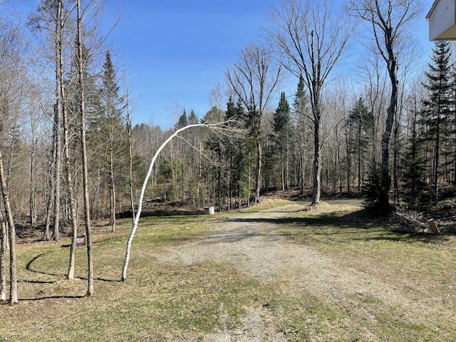 144 Redneck Rd, Starks, ME 04911 - view of road with a forest view