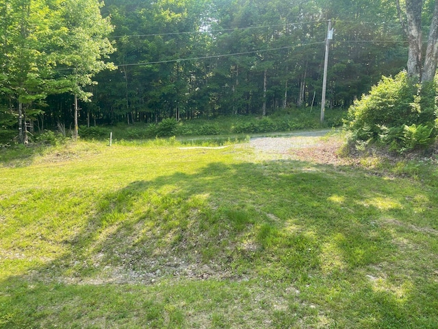 144 Redneck Rd, Starks, ME 04911 - view of yard featuring a wooded view