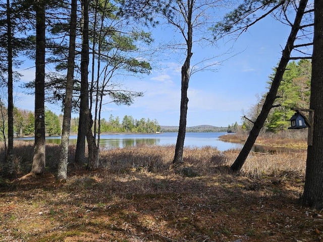 water view