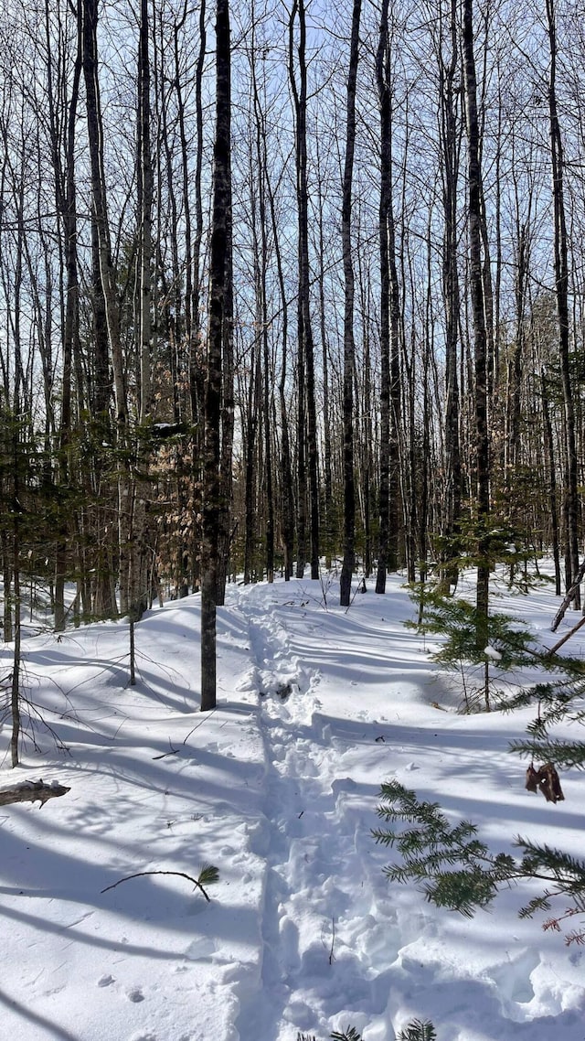 view of snowy yard