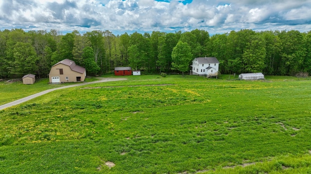 142 Palmer Rd, Thorndike, ME 04986 - view of grassy yard with a shed and a forest view