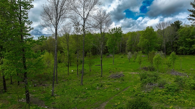 142 Palmer Rd, Thorndike, ME 04986 - view of wooded area