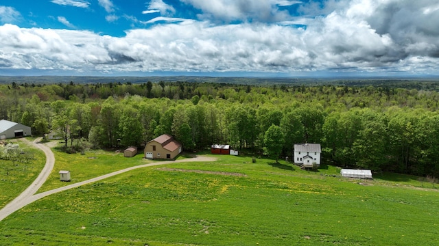 142 Palmer Rd, Thorndike, ME 04986 - bird's eye view of a forest