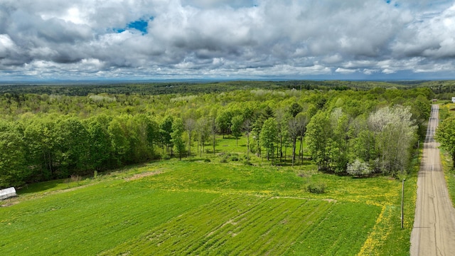 142 Palmer Rd, Thorndike, ME 04986 - aerial view of a heavily wooded area